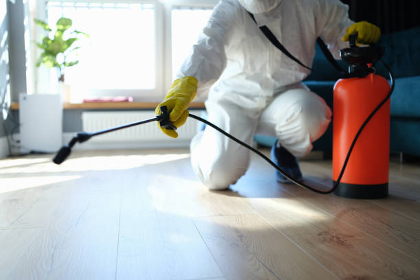 Affordable Sewage Cleanup solutions in Waverly, WA